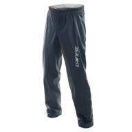 DAINESE Брюки STORM ANTRAX